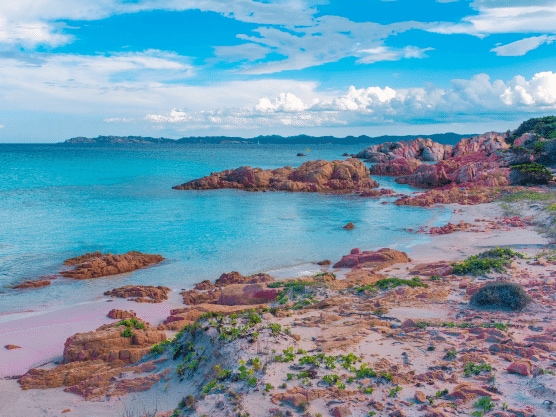 Roze zandstrand Budelli eiland, Maddalena Archipelago, Sardinië, Italië