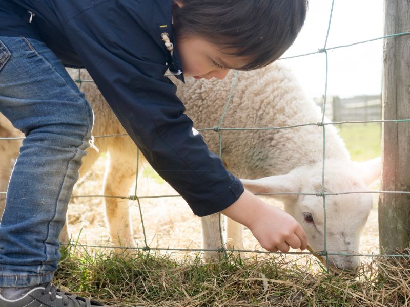 Beste kleine campings Europa