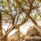 Dit waren de meest populaire kleine campings in 2023