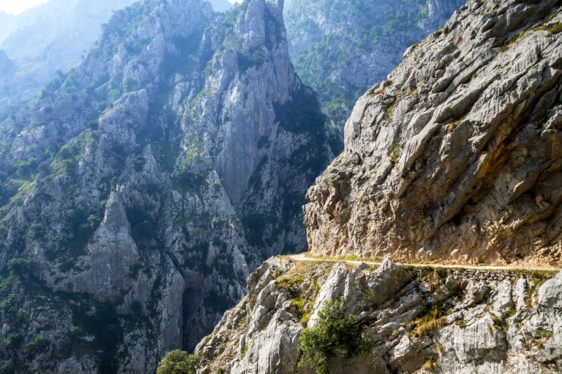 Picos de Europa