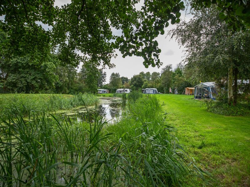 Adults only camping Erfgoed de Boemerang