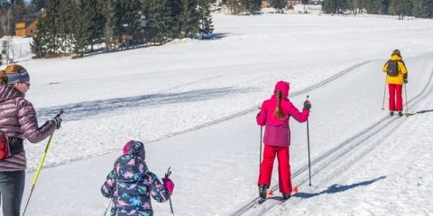 Top 12 skigebieden in Frankrijk