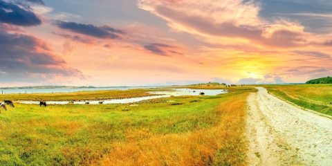 Wat te doen in Midden-Jutland?