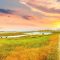 Wat te doen in Midden-Jutland?