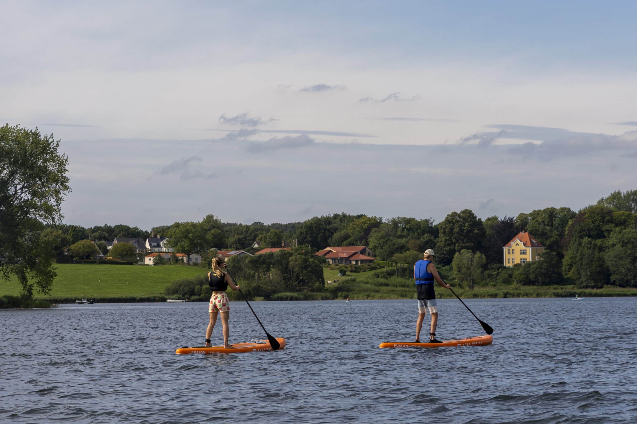 Stel suppend op Flensborg Fjord