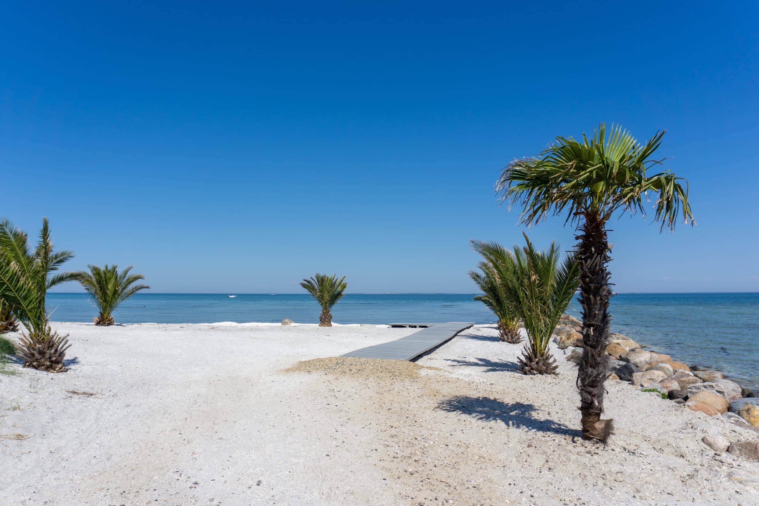 Frederikshavn palmstrand