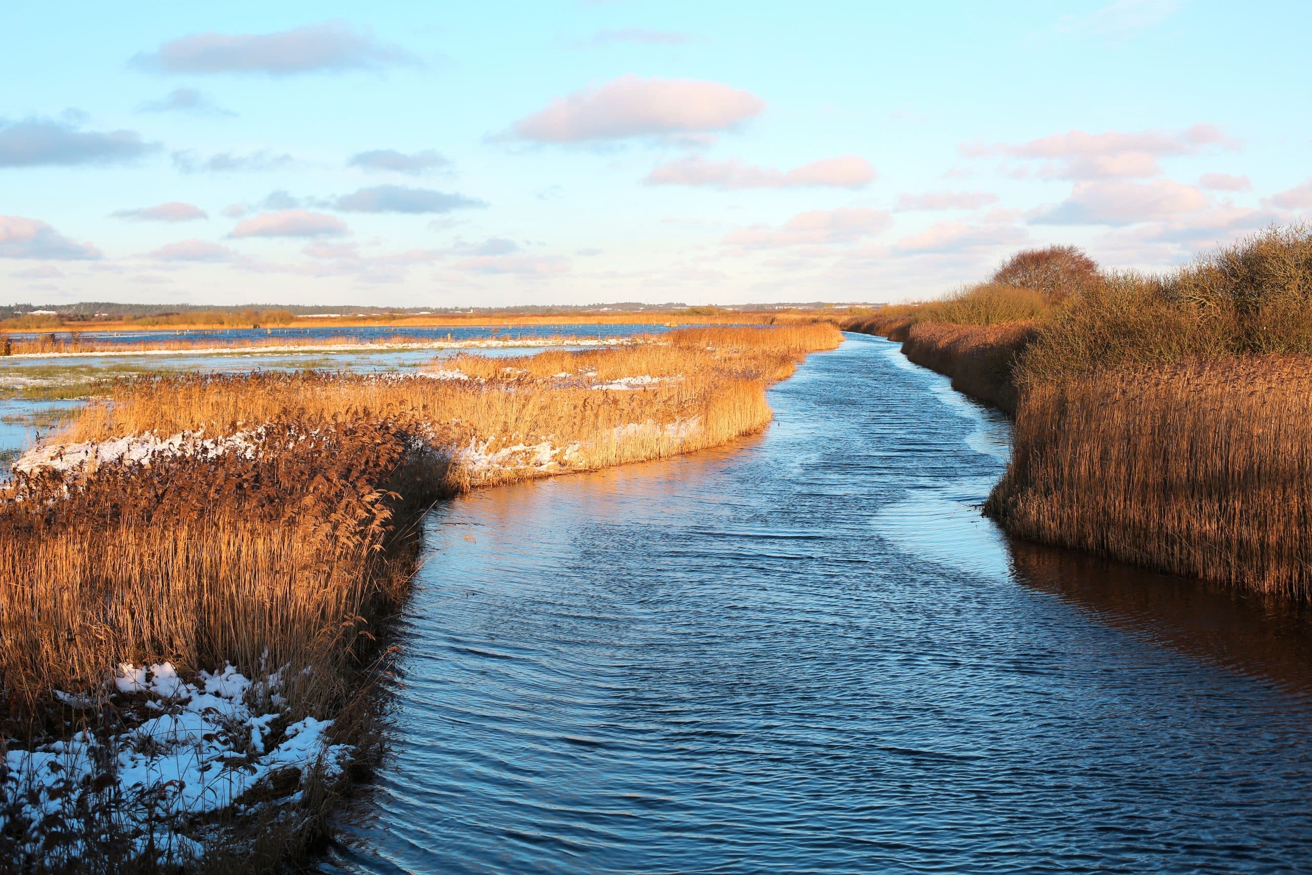 Limfjord