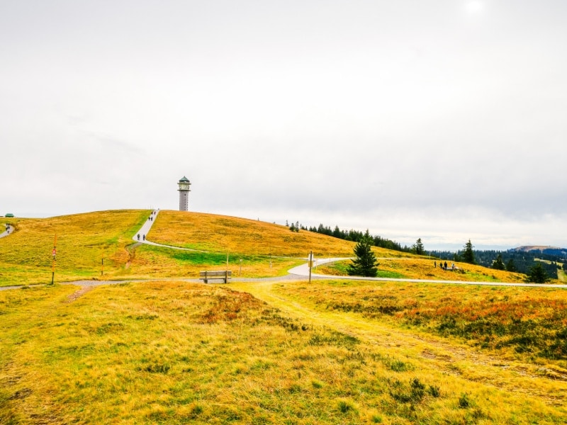 De Feldberg, het hoogste punt van het Zwarte Woud.