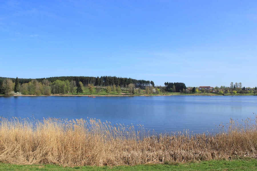 uitzicht op meer met riet