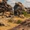 Wat te doen in de Harz?