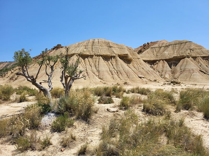 Roadtrip Noord-Spanje, Bardenas Reales