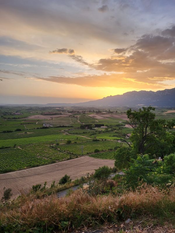 Roadtrip Noord-Spanje, La Rioja