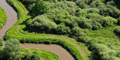 Op kampeervakantie in de Belgische Kempen: vijf campingtips