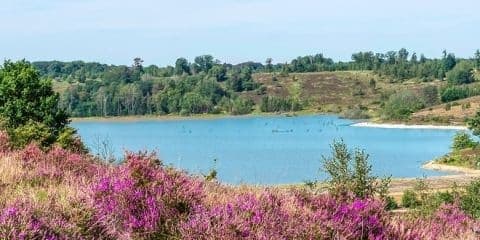 Op kampeervakantie in de Belgische Kempen: vijf campingtips