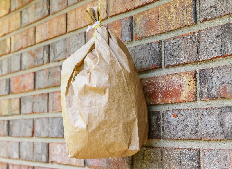 Brötchentüte als Wespennestatrappe