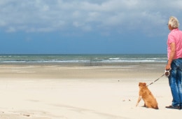 man met hond strand zeeland hondenstrand zeeland