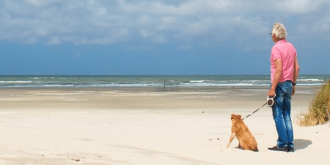 Hondenstrand in Zeeland: dit zijn de 9 mooiste plekken met je hond