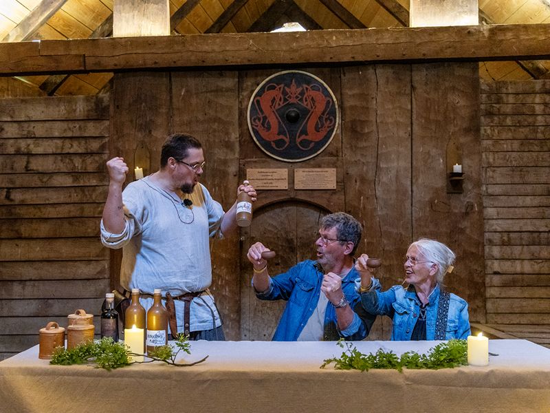 Vikingfort Trelleborg