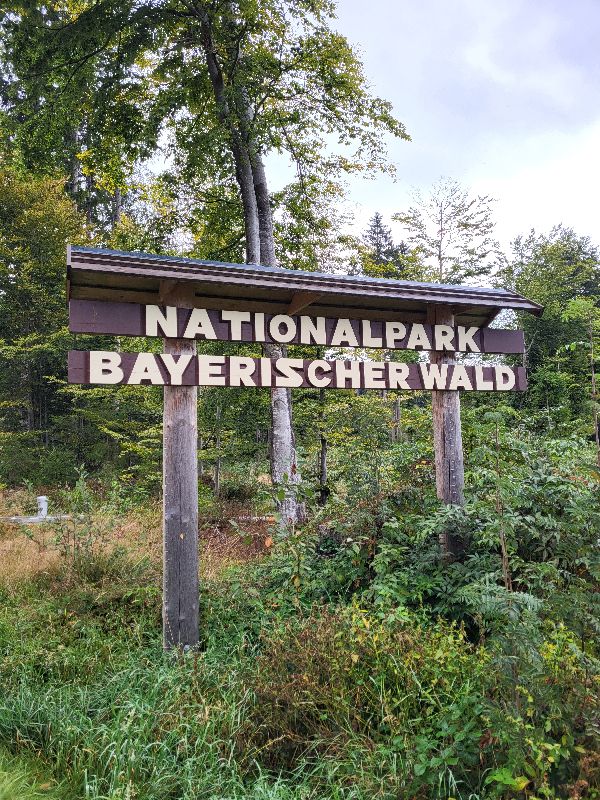 Natuur in Beieren, Beierse Woud