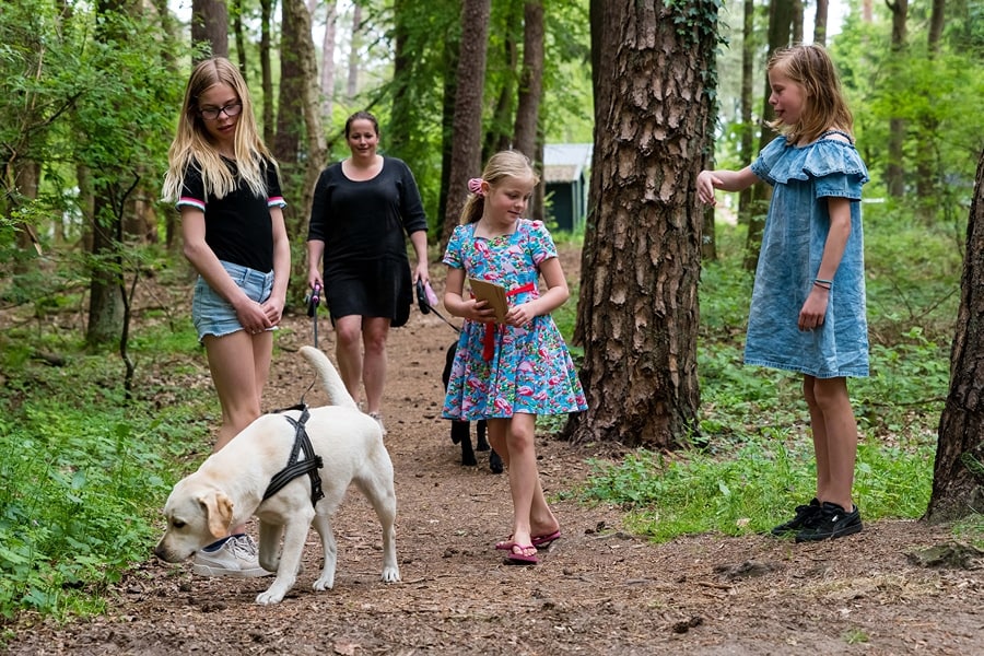 Kinderen spelen met hond op Ardoer Camping Torentjeshoek