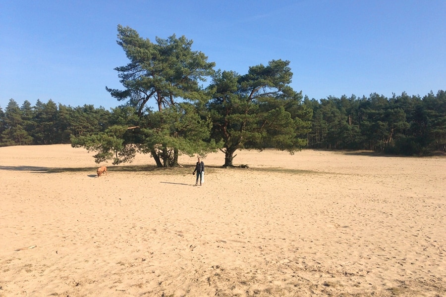 Je hond uitlaten bij het Kootwijkerzand vlak bij Recreatiepark Samoza