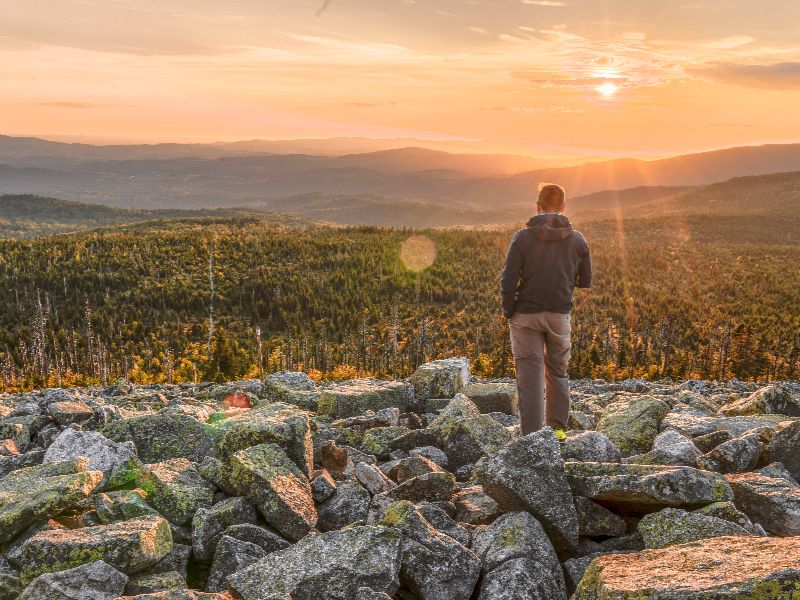 Natuur in Beieren, Beierse woud