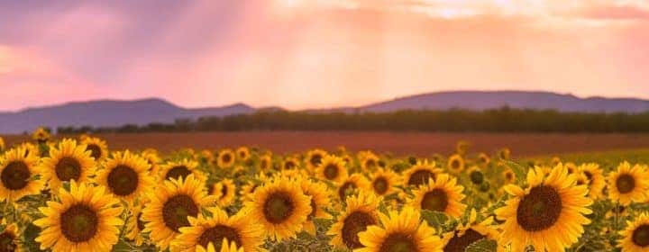 Klimaat in Frankrijk