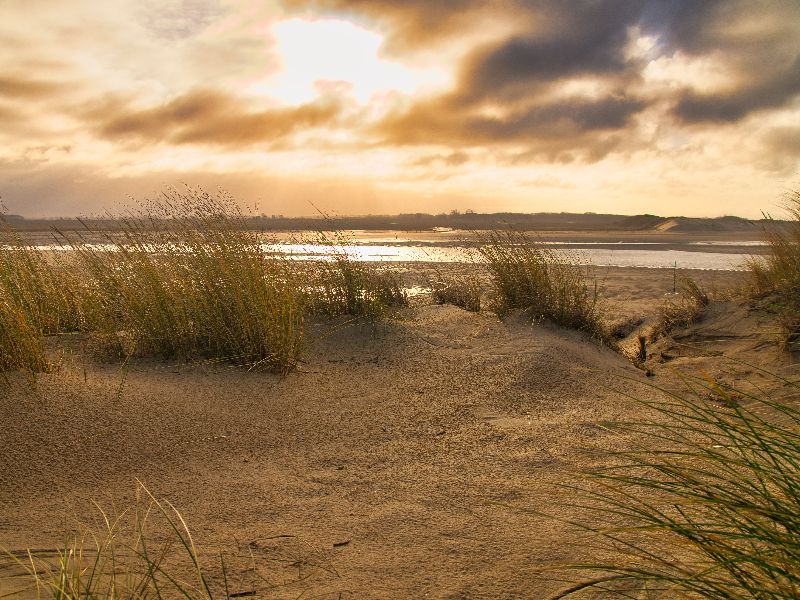 Haaientanden in Zeeland