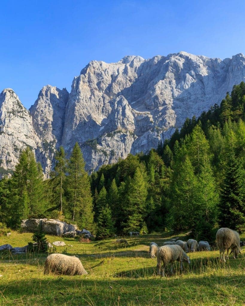 Bezienswaardigheden Slovenië