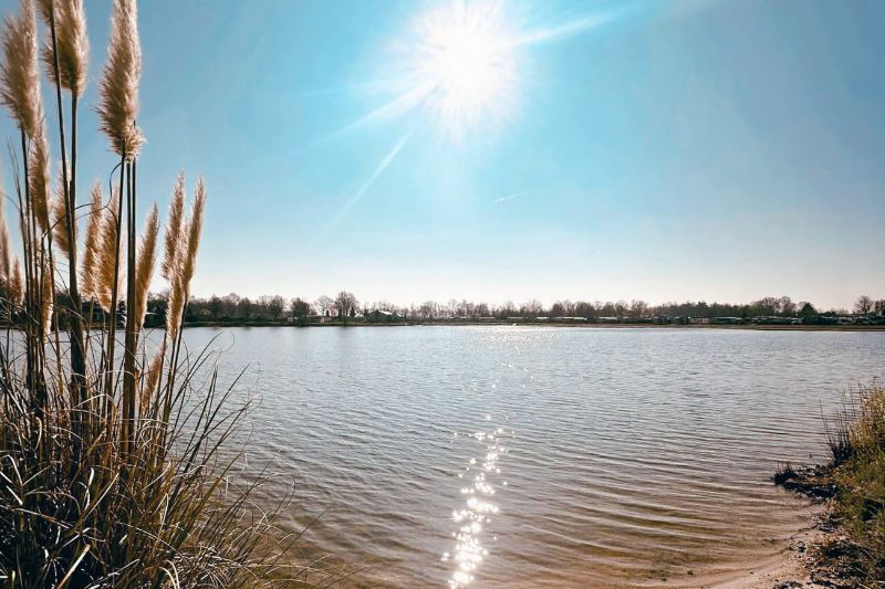 Zonnig uitzicht over de Blaue Lagune bij camping Häppy Life in Twist, met riet aan de oever en glinsterend water onder een heldere blauwe lucht.