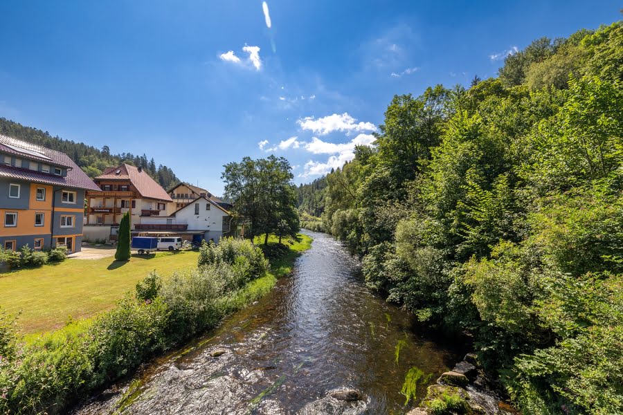 Baiersbronn Zwarte Woud