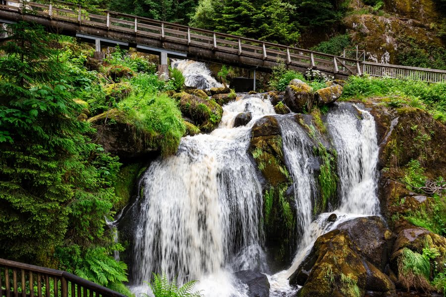 Triberger Wasserfälle Zwarte Woud