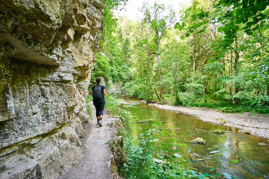 Wutachschlucht Zwarte Woud