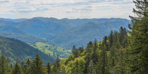 Camperroute Zwarte Woud: natuur, dorpen en must-sees