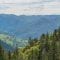 Camperroute Zwarte Woud: natuur, dorpen en must-sees