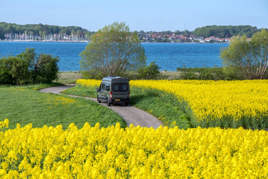 camper rijdt lnags gele velden aan het water