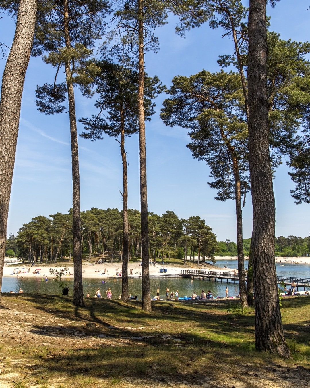 Utrechtse Heuvelrug Henschotermeer