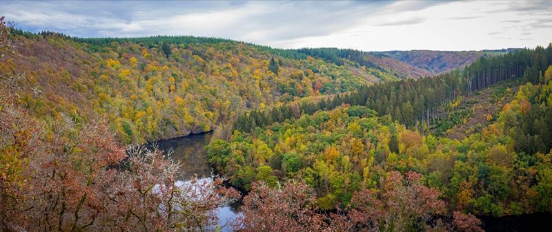 Parc naturel des Deux Ourthes in herfstsferen. Uitzicht op bomen in oranje tinten en de rivier.