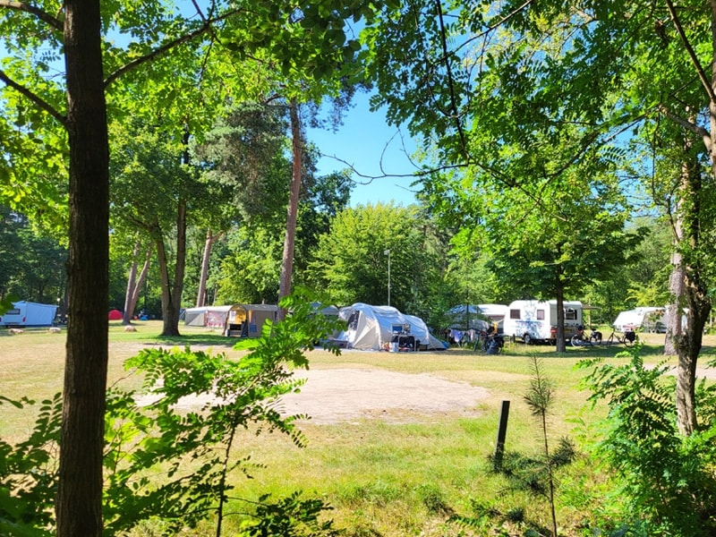 Kamperen op de Utrechtse Heuvelrug RCN Het Grote Bos