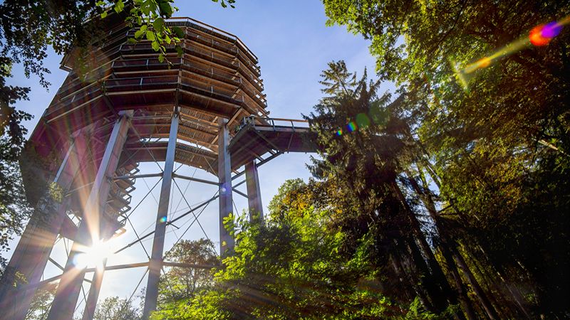 Bezoek het Baumwipfelpfad Saarschleife in de herfstvakantie