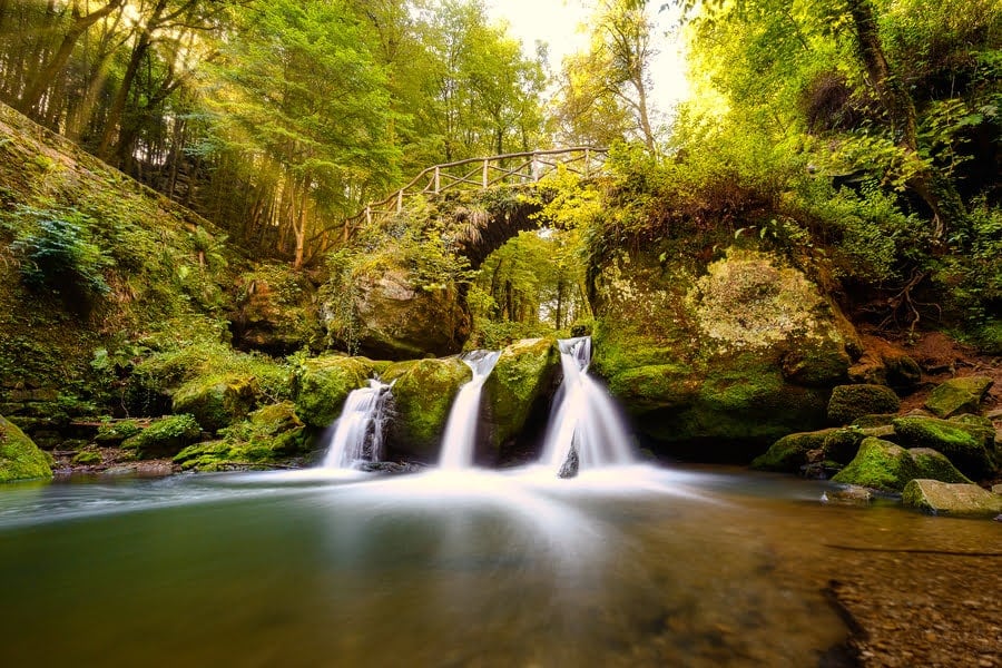 Luxemburg waterval rotsen bos