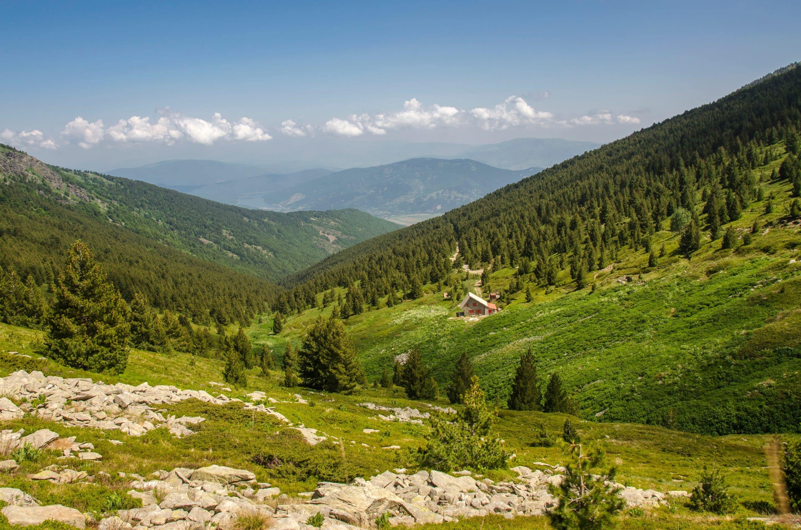 Pelister National Park
