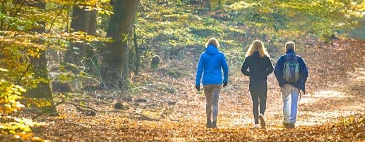 Herfstvakantie bestemmingen in Nederland