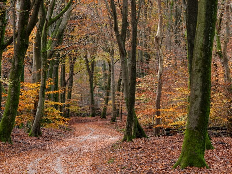 Leuke herfstbestemmingen in Nederland