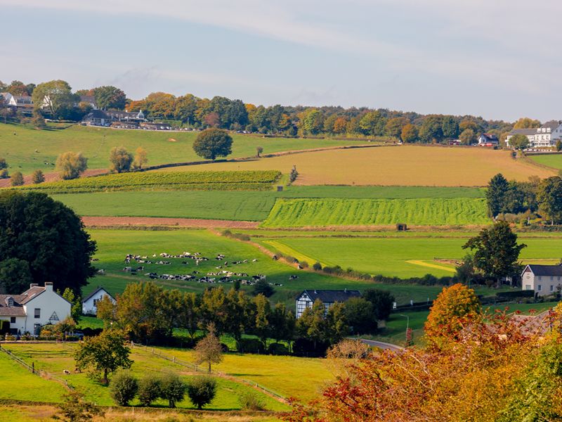 Leuke herfstbestemmingen in Nederland Zuid-Limburg