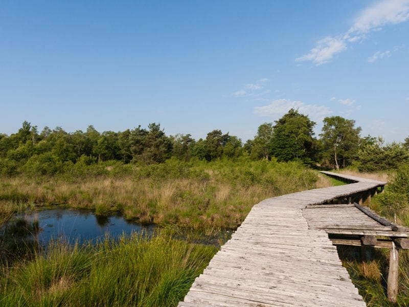 Nationaal Park De Groote Peel