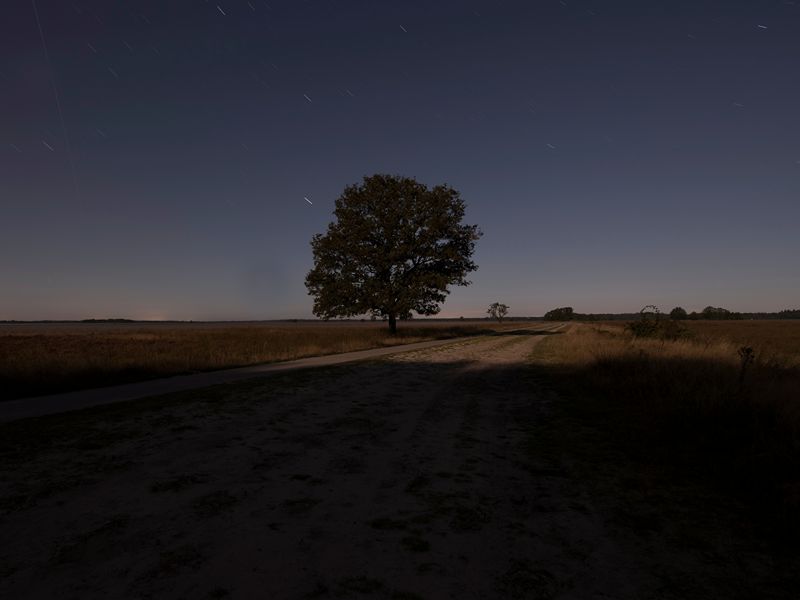 Sterren kijken in Nederland